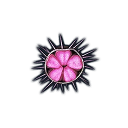 Pink Sea Urchin